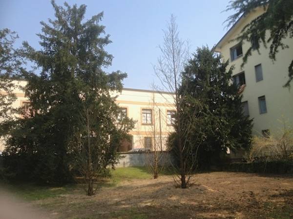 Nuove piante a Villa Mylius (inserita in galleria)