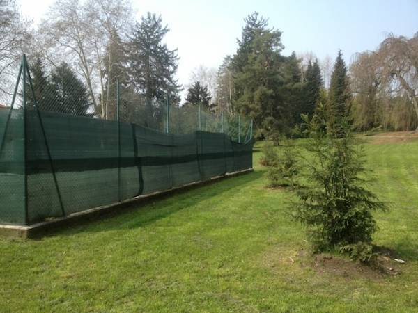 Nuove piante a Villa Mylius (inserita in galleria)