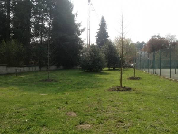 Nuove piante a Villa Mylius (inserita in galleria)