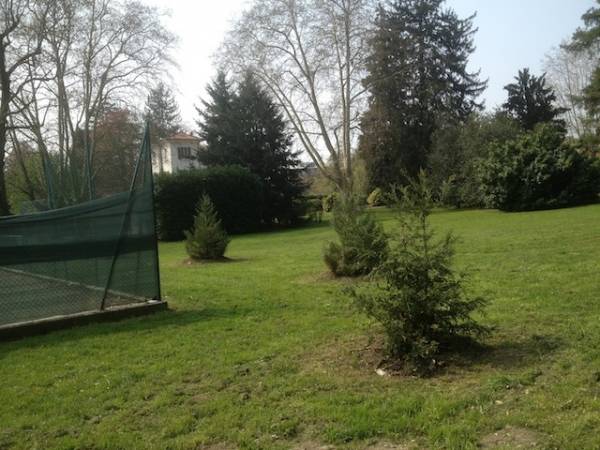 Nuove piante a Villa Mylius (inserita in galleria)