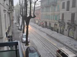 Tradate bianca di grandine (inserita in galleria)