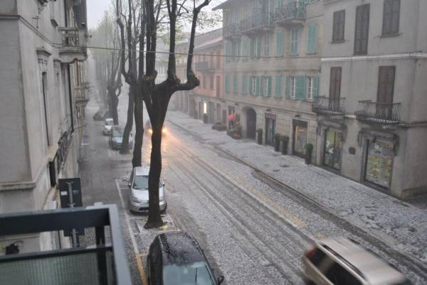 Tradate bianca di grandine (inserita in galleria)