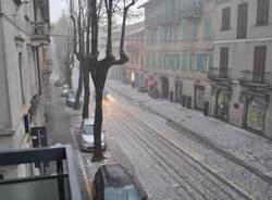 Tradate bianca di grandine (inserita in galleria)