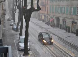 Tradate bianca di grandine (inserita in galleria)