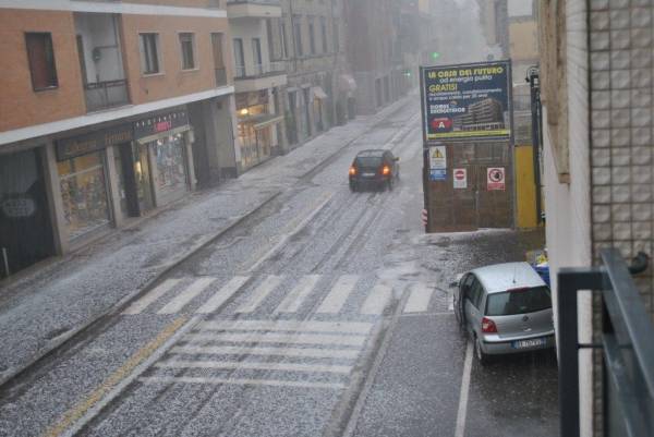 Tradate bianca di grandine (inserita in galleria)