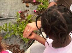 Una rotonda fiorita grazie ai bambini (inserita in galleria)