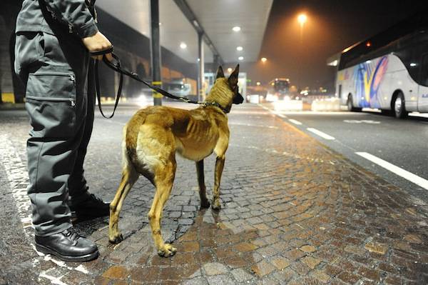 Al valico con 90 chili di droga (inserita in galleria)