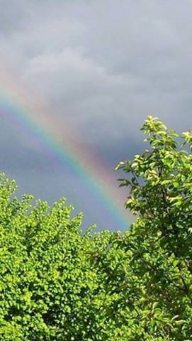 Arcobaleno su Varese 19 maggio 2013 (inserita in galleria)