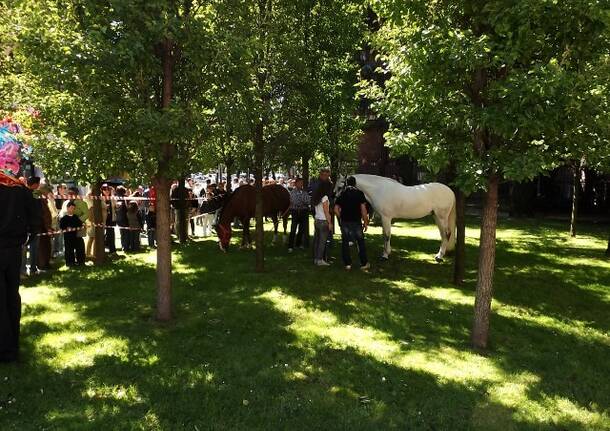 Palio 2013: Messa sul Carroccio
