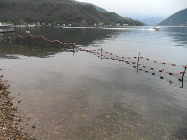 Gara di pesca, si prepara il "campo" (inserita in galleria)