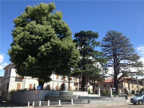 Gorla Maggiore: i luoghi (inserita in galleria)