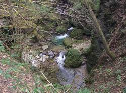 I sentieri da Varese al lago (inserita in galleria)