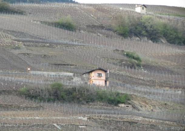 I vigneti di Saillon