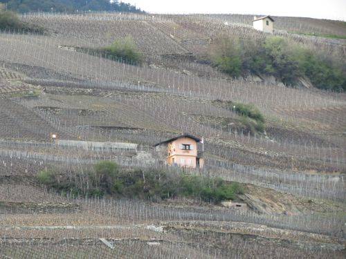 I vigneti di Saillon