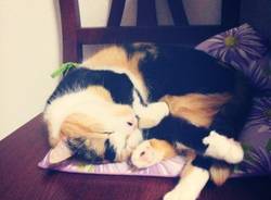 Il buongiorno dei lettori (inserita in galleria)