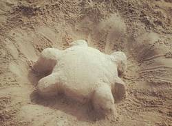 Il buongiorno dei lettori (inserita in galleria)