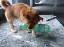 Il buongiorno dei lettori (inserita in galleria)