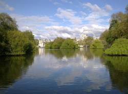 Il buongiorno dei lettori (inserita in galleria)