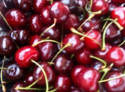 Il buongiorno dei lettori (inserita in galleria)