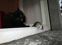 Il buongiorno dei lettori (inserita in galleria)