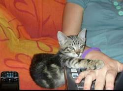 Il buongiorno dei lettori (inserita in galleria)