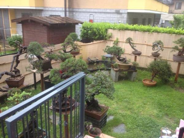 Il gioco di Varesenews, 17 maggio (inserita in galleria)