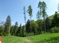 Il Pian delle Noci (inserita in galleria)