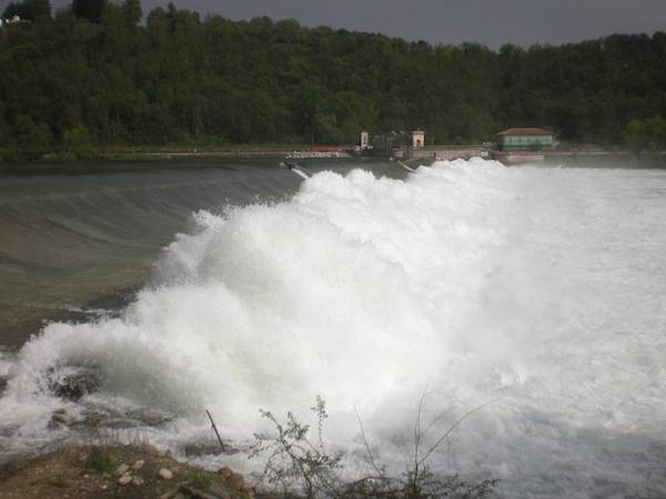 La "rabbia" del Ticino (inserita in galleria)