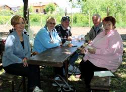 Le asinelle dell'Atap (inserita in galleria)