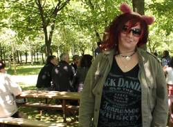 Le asinelle dell'Atap (inserita in galleria)