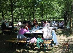 Le asinelle dell'Atap (inserita in galleria)