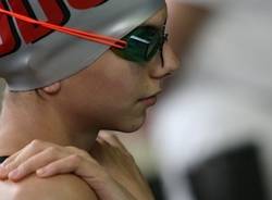 Nuoto, il trofeo Biancorosso  (inserita in galleria)