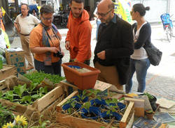 Orti in piazza con Legambiente (inserita in galleria)