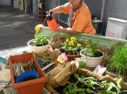 Orti in piazza con Legambiente (inserita in galleria)