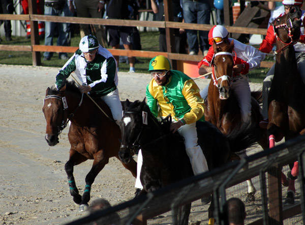 Palio di Legnano 2013 - le gare (inserita in galleria)