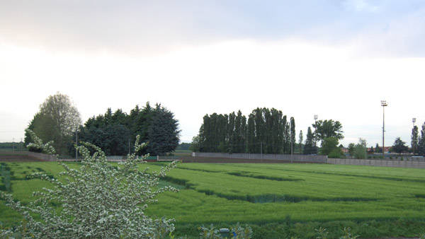 Strane forme nel campo di grano (inserita in galleria)