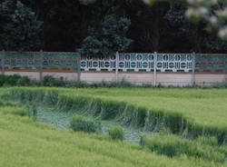 Strane forme nel campo di grano (inserita in galleria)