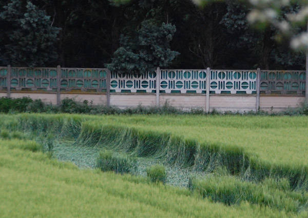 Strane forme nel campo di grano (inserita in galleria)