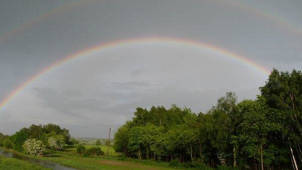 Un bellissimo arcobaleno dall'estero...