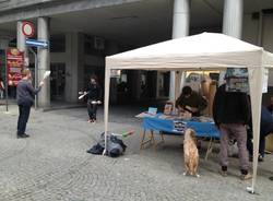 Va per strada, i giocolieri a Varese (inserita in galleria)