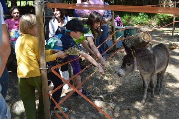 Cappuccetto e i piccoli pazienti del Del Ponte (inserita in galleria)