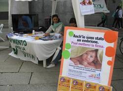 Chi ha paura della gioia? (inserita in galleria)