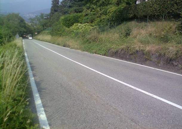 Cigli delle strade non tagliate nell'alto Varesotto (inserita in galleria)