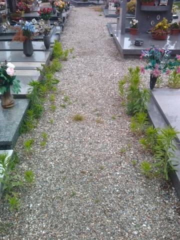 Degrado al cimitero di Somma (inserita in galleria)