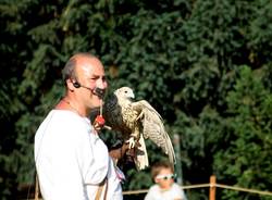 Falchi, principesse vescovi al Palio di Masnago (inserita in galleria)