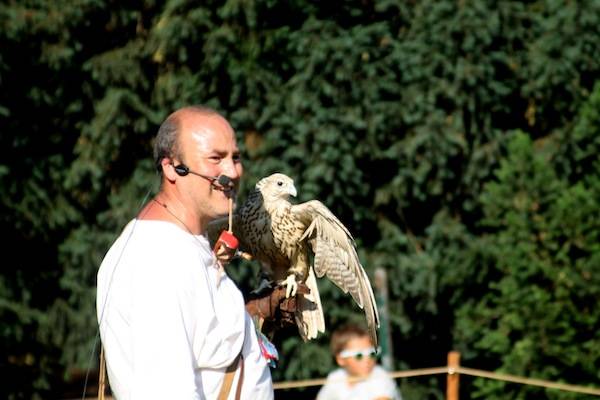 Falchi, principesse vescovi al Palio di Masnago (inserita in galleria)