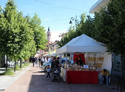 Festa delle ciliegie ad Abbiate Guazzone (inserita in galleria)