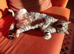 Il buongiorno dei lettori (inserita in galleria)