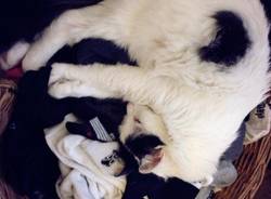 Il buongiorno dei lettori (inserita in galleria)