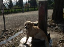 Il buongiorno dei lettori (inserita in galleria)